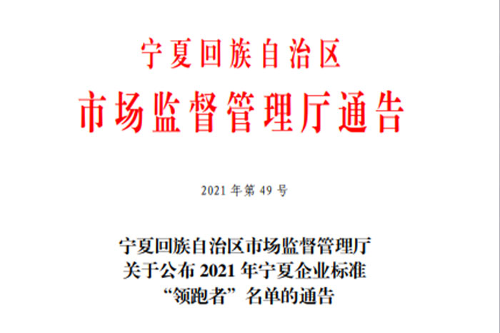 【荣誉】巨能《GS系列桁架机器人》企业标准入选2021年宁夏企业标准“领跑者”名单